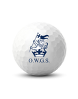 Old Wellingtonians Titleist Pro V1 Golf Balls (Set of 12)