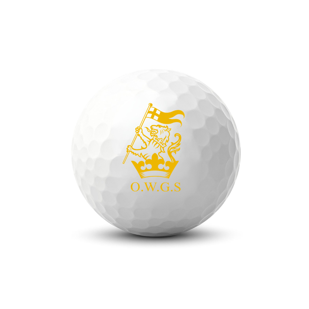 Old Wellingtonians Titleist Pro V1 Golf Balls (Set of 12)